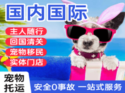厦门高崎空运公司国际宠物托运 【国